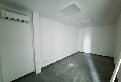 Hale,spatii industriale Albota,Pitesti Arges - 2