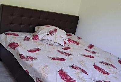 Apartament cu 2 camere semidecomandat în Malul Spitalului - 2