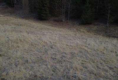 Casă cu 6 camere cu Teren 850 Mp în Vatra Dornei - 3