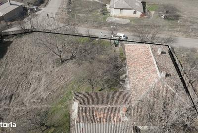 Spațiu comercial, în Cerna - 7