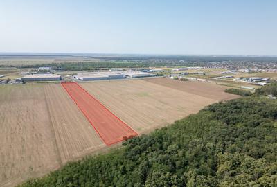 Teren Vanzare Intravilan Branesti investitie Zona Industrial - 13