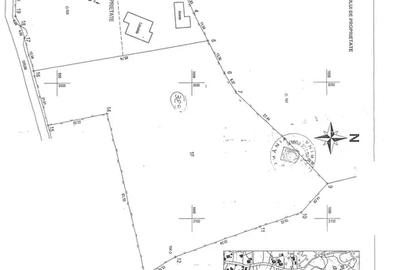 Teren intravilan de 4710 mp, în Provița de Jos - 3