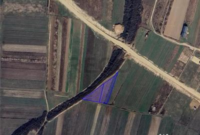 Teren de 5100 mp, în Cordău - 2