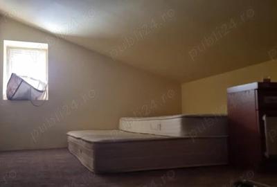 Apartament 2 camere Cart. Manastur, str. Campului - 3