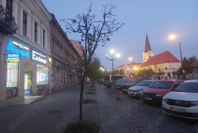 Iosefin Garsoniera - 1