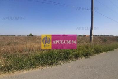 Teren de 1300 mp, în 1 Decembrie - 2