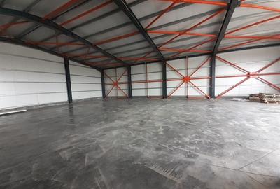 Hala noua in zona Drumul Intre Tarlale - 2