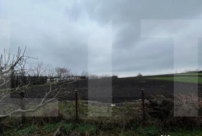 Casă cu 3 camere cu Teren 5810 Mp în Central - 5