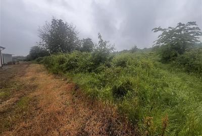 Teren intravilan, 1000mp, in Valea Calugareasca. - 5