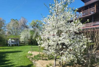 Pensiune moderna de vanzare la cheie in Vistisoara cu 1800 mp de teren - 4