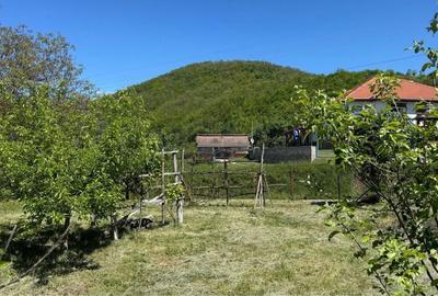 Teren de 756 mp, în Măgura - 3