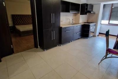 Apartament cu 2 camere semidecomandat, mobilat în Unirii - 8