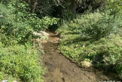 Casa de vanzare+terenuri - 2