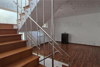 Vanzare Vila 7 camere Ion Mihalache - Miciurin - 14