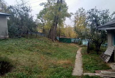 Casa batraneasca cu gradina in Botosani - 6