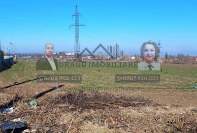 Teren Statia Meteo Balcescu/ 2 loturi de 5000 mp /Tecuci - 2