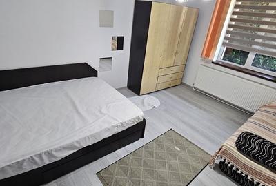 Baba Novac garsoniera mobilata si utilata complet Baba Novac garsoniera mobilata si utilata complet - 2