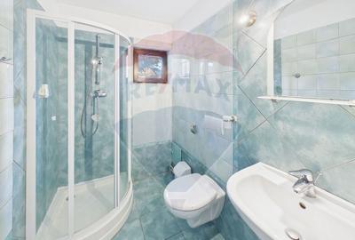 Casă cu 6 camere cu Teren 400.7200012207 Mp în Cioplea - 22