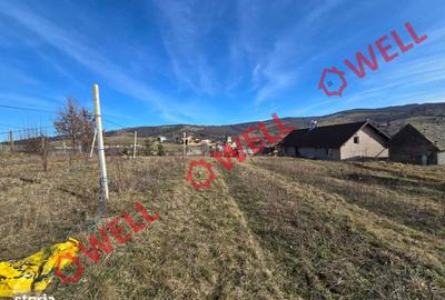 Teren de 5000 mp, în Barcani - 2