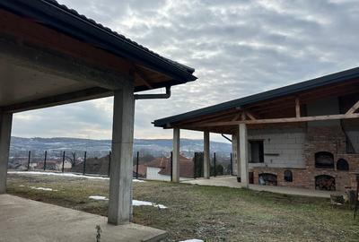 Casa la rosu+teren ST:1800 mp*Pestisu Mare-Deva-Hunedoara+casa veche ! - 5