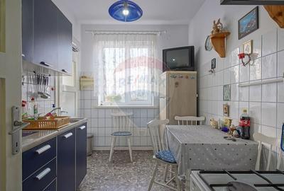 Comision zero! Apartament decomandat str Lunii - 16