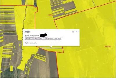 Teren Extravilan Corni, Cota parte 1/2, ID: R2581783 - 5