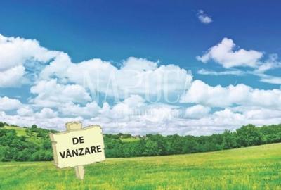 Teren extravilan pentru constructii de vanzare in Iris, Cluj Napoca - 2