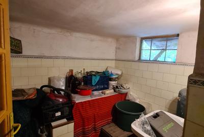 Casa individuala/sat Dobreni comuna Varasti - 11