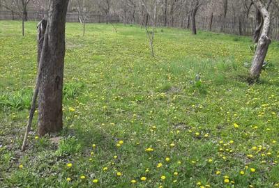 Casa de vanzare sat Carbune?ti, jud. Prahova - 4