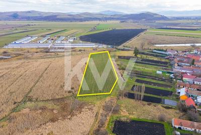 Teren 10000 mp in Extravilan, Bod, Brasov- COMISION 0% - 5