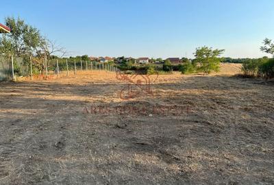 Teren intravilan 2.192 mp cu front 20 m – Seceani, Timiș - 3