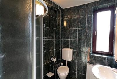 Vila 5 camere, 5 bai. 1200 mp curte, 230 utili.Situata in Buziaș/Timiș - 20
