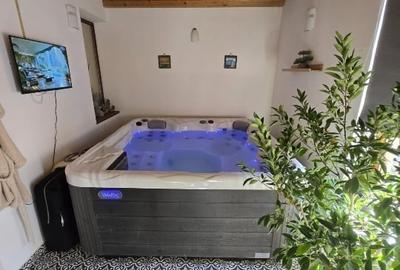 VILA CU SPA  PRIVAT SI TEREN GENEROS IN TUNARI - 3