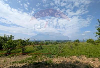 Teren intravilan de vanzare 2.444 mp - Targu Lapu? - 6