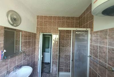 Casă cu Teren 4977 Mp în Ribița - 5