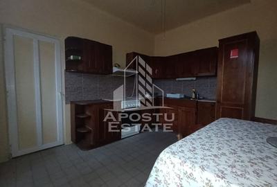 Casa individuala + garaj si anexa, oportunitate investitie, Sagului! - 9