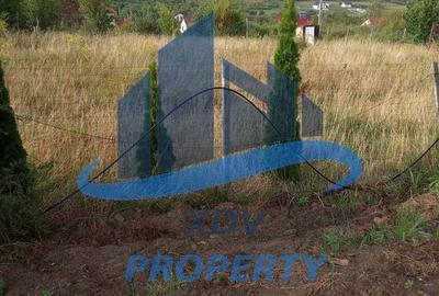 Teren intravilan  ,1020 mp, Sibiu, Daia Noua Teren intravilan  ,1020 mp, Sibiu, Daia Noua - 13