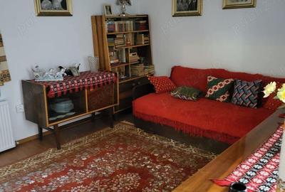 Casa si Teren Tara Lovistei Greblesti - 5