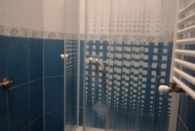 Casa tip calcan 5 camere, zona Mehala - Oportunitate investitie - 8