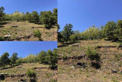 Casă cu 4 camere în Miniș - 4
