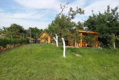 Casă cu 2 camere în Carei - 5