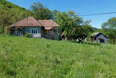 Casa la ?ara cu teren , zona lini?tita - 4