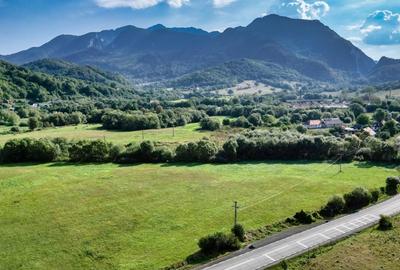 Cheile Rasnoavei DN73A, teren extravilan 3.000 mp, zona de vis, ideal investitie - 7