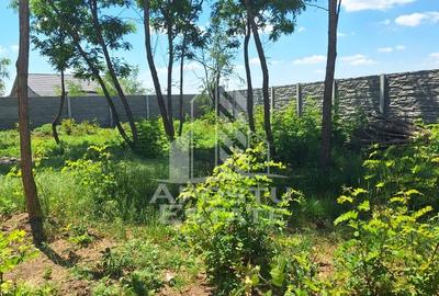 Duplex in Bucovat - 4