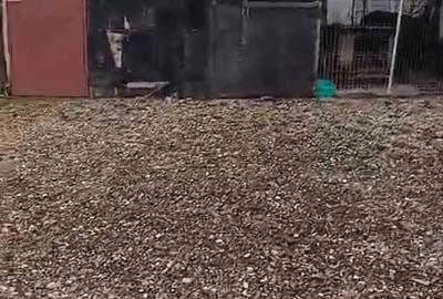 Casă cu 4 camere în Ologeni - 2