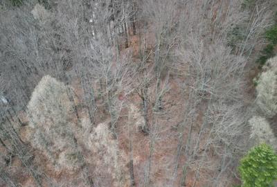 Teren Construcții intravilan de 1700 mp, în Castelul Peleș - 12