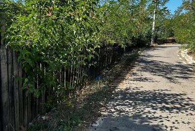 Casă cu 3 camere în Naipu - 1