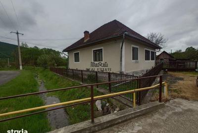 Casă cu 4 camere cu Teren 2651 Mp în Baia de Criș - 5