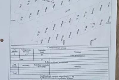 Apartament cu 3 camere decomandat, mobilat în Vest - 11