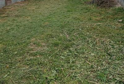 Vand casa cu teren 5725 mp, livada 100 pomi fructiferi, hala 220 mp in Dragoiesti, jud Timis - 6